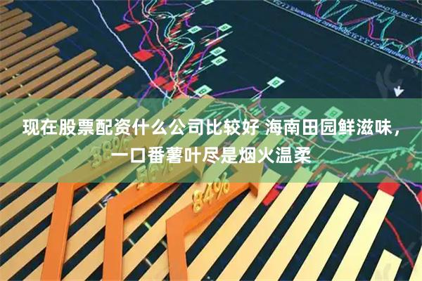 现在股票配资什么公司比较好 海南田园鲜滋味，一口番薯叶尽是烟火温柔